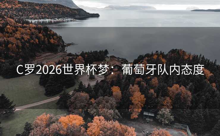 C罗2026世界杯梦：葡萄牙队内态度